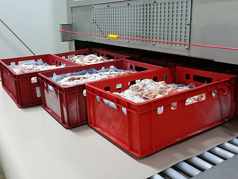 Photo de bacs contenant de la viande congelée, prêts à être décongelés avant transformation