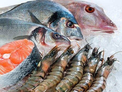 Produit de la mer Produit de la mer - Transformation des produits halieutiques