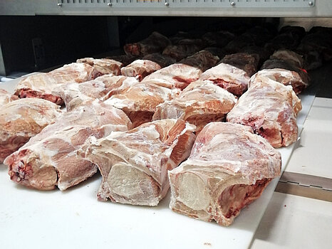Plusieurs pièces de viande disposées sur un tapis de convoyeur, prêtes à être décongelées