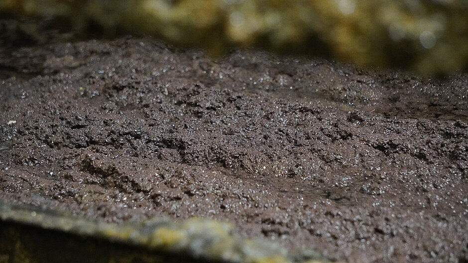 Image de terre humide