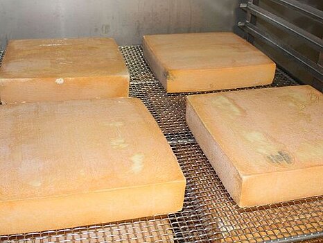 Support métallique sur lequel sont posés plusieurs fromage