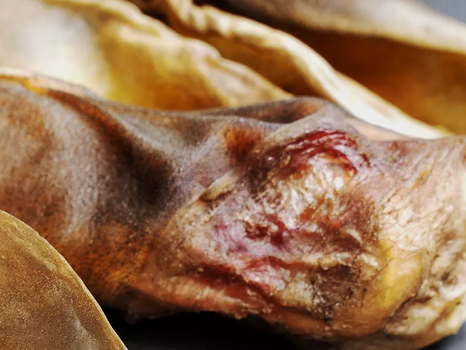 Photo de viande séchée pour animal de compagnie