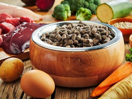 Aliment pour animaux Aliment pour animaux - Pet Food Industriel